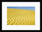 Pattern in sand dunes by Anonymous