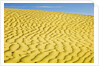 Pattern in sand dunes by Anonymous