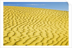 Pattern in sand dunes by Anonymous