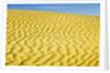 Pattern in sand dunes by Anonymous