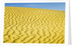 Pattern in sand dunes by Anonymous