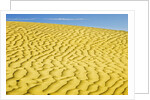 Pattern in sand dunes by Anonymous