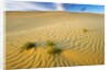 Pattern in sand dunes by Anonymous