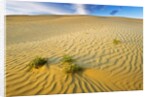 Pattern in sand dunes by Anonymous