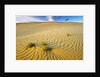 Pattern in sand dunes by Anonymous