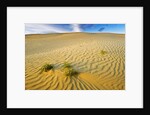 Pattern in sand dunes by Anonymous