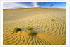 Pattern in sand dunes by Anonymous