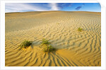 Pattern in sand dunes by Anonymous