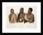 Missouri Indian, Oto Indian, Chief of the Puncas by Karl Bodmer