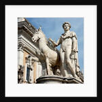 Statue of Castor at Piazza del Campidoglio by Anonymous
