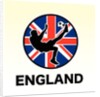 England Soccer by Anonymous