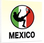 Mexico Soccer by Anonymous