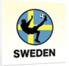 Sweden Soccer by Anonymous