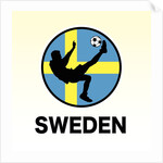 Sweden Soccer by Anonymous