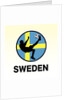 Sweden Soccer by Anonymous