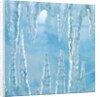 Icicles by Anonymous