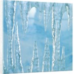 Icicles by Anonymous