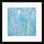 Icicles by Anonymous