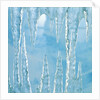 Icicles by Anonymous