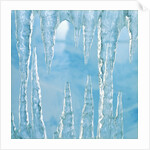 Icicles by Anonymous
