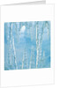 Icicles by Anonymous