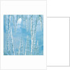 Icicles by Anonymous