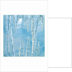 Icicles by Anonymous