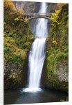 Lower half of Multnomah Falls by Anonymous