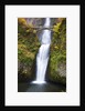 Lower half of Multnomah Falls by Anonymous