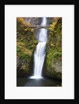 Lower half of Multnomah Falls by Anonymous