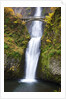 Lower half of Multnomah Falls by Anonymous