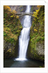 Lower half of Multnomah Falls by Anonymous