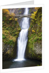 Lower half of Multnomah Falls by Anonymous