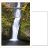 Lower half of Multnomah Falls by Anonymous