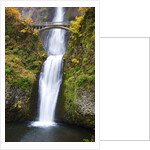 Lower half of Multnomah Falls by Anonymous