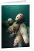 Swimming Steller sea lions by Anonymous