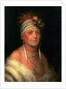 Monchousia (White Plume) by Charles Bird King