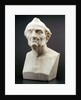 Bust sculpture of Amerigo Vespucci by Giuseppe Ceracchi