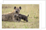 Spotted hyena and pup by Anonymous