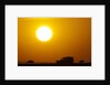 Wildebeest near safari truck at sunrise by Anonymous