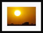 Wildebeest near safari truck at sunrise by Anonymous