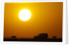 Wildebeest near safari truck at sunrise by Anonymous