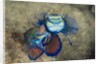 Mating Mandarinfish (Synchiropus splendidus), Micronesia, Palau by Anonymous