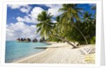 Huts at Matira Beach, Bora Bora Island by Anonymous