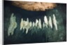 Formations in Chandelier Dripstone Cave, Micronesia, Palau by Anonymous