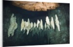 Formations in Chandelier Dripstone Cave, Micronesia, Palau by Anonymous