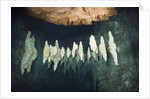 Formations in Chandelier Dripstone Cave, Micronesia, Palau by Anonymous