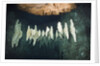 Formations in Chandelier Dripstone Cave, Micronesia, Palau by Anonymous