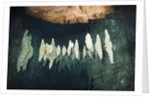 Formations in Chandelier Dripstone Cave, Micronesia, Palau by Anonymous
