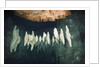 Formations in Chandelier Dripstone Cave, Micronesia, Palau by Anonymous
